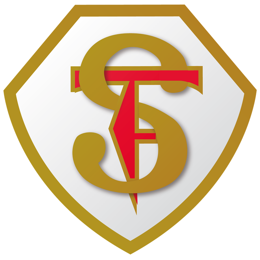 esc san francisco de asis ercilla ercilla