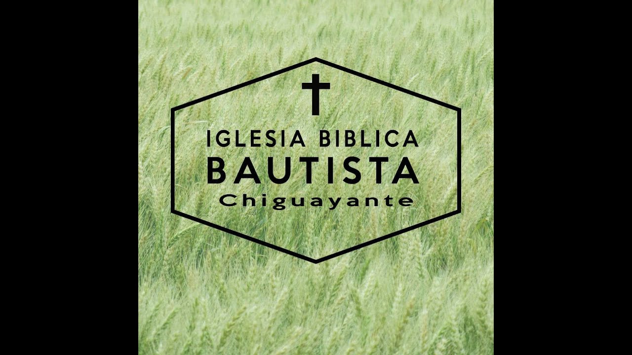 ibbchiguayante chiguayante