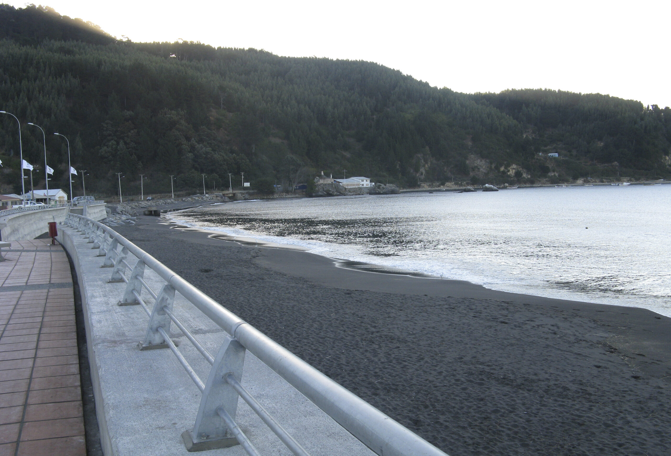 local lenga iep talcahuano caleta lenga scaled