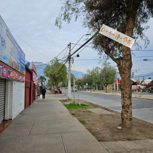 local trinidad oriente iep la florida la florida