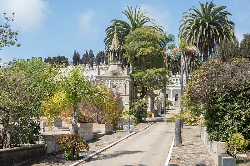 parroquia santa ines vina del mar