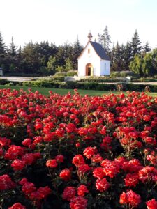 Bienvenidos a IglesiasChile 2 santuario schoenstatt jardin de maria quillota