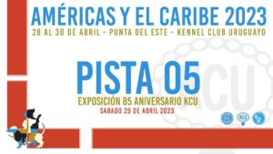 Bienvenidos a IglesiasChile 2 shilo curacavi curacavi