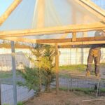 templo la sombra hijuelas